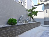 DSC_7796a